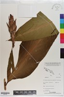 登錄號:S200784藏品圖，第1張