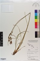 登錄號:S200815藏品圖，第1張