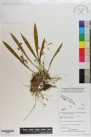 登錄號:S200838藏品圖，第1張