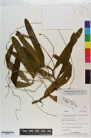 登錄號:S200839藏品圖，第1張