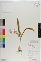 登錄號:S200977藏品圖，第1張