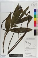 登錄號:S201023藏品圖，第1張