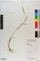 登錄號:S201044藏品圖，第1張