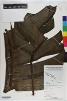 登錄號:S201069藏品圖，第2張