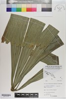 登錄號:S201073藏品圖，第2張