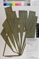 登錄號:S201073藏品圖，第3張