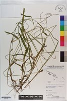 登錄號:S201080藏品圖，第1張