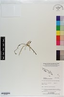 登錄號:S201086藏品圖，第1張