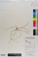 登錄號:S201098藏品圖，第1張