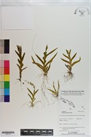 登錄號:S201101藏品圖，第1張