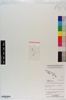 登錄號:S201108藏品圖，第1張