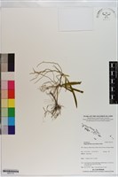 登錄號:S201112藏品圖，第1張