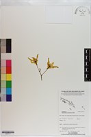 登錄號:S201117藏品圖，第1張