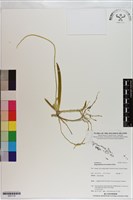 登錄號:S201119藏品圖，第1張