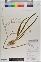 登錄號:S201122藏品圖，第1張