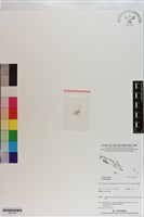 登錄號:S201123藏品圖，第1張