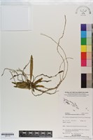 登錄號:S201125藏品圖，第1張