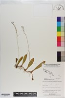 登錄號:S201126藏品圖，第1張