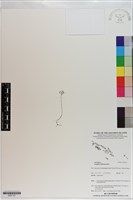 登錄號:S201127藏品圖，第1張