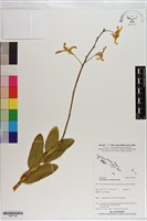 登錄號:S201146藏品圖，第1張