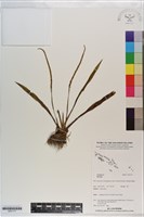 登錄號:S201177藏品圖，第1張