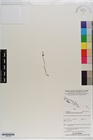 登錄號:S201180藏品圖，第1張