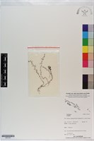 登錄號:S201203藏品圖，第1張