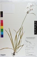 登錄號:S201244藏品圖，第1張