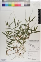 登錄號:S201281藏品圖，第1張