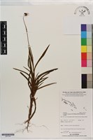 登錄號:S201324藏品圖，第1張