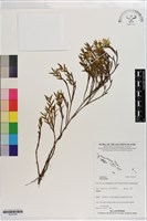 登錄號:S201345藏品圖，第1張