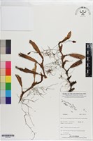 登錄號:S201360藏品圖，第1張