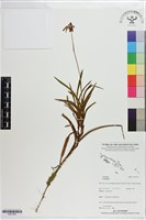 登錄號:S201363藏品圖，第1張