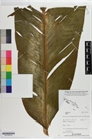 登錄號:S201369藏品圖，第4張