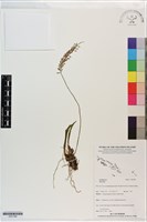 登錄號:S201380藏品圖，第1張