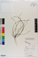 登錄號:S203154藏品圖，第1張