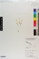 登錄號:S203171藏品圖，第1張