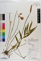 登錄號:S203208藏品圖，第1張