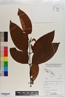 登錄號:S203244藏品圖，第1張