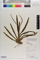 登錄號:S203384藏品圖，第1張