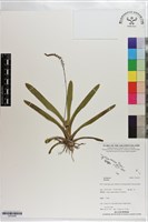 登錄號:S203458藏品圖，第1張
