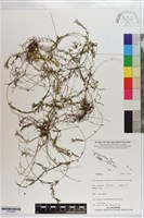 登錄號:S203460藏品圖，第1張