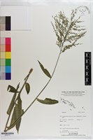 登錄號:S203479藏品圖，第1張