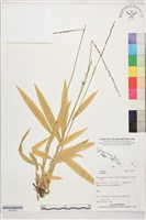 登錄號:S207832藏品圖，第1張