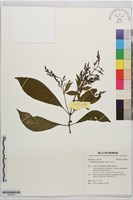 水金京藏品圖，第1張