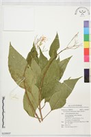 海州常山藏品圖，第1張