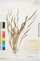 登錄號:S230761藏品圖，第1張