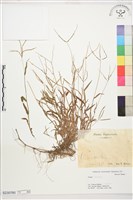 登錄號:S230780藏品圖，第1張