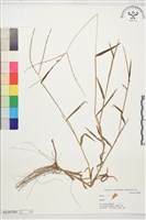 登錄號:S230783藏品圖，第1張