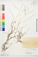 登錄號:S230803藏品圖，第1張